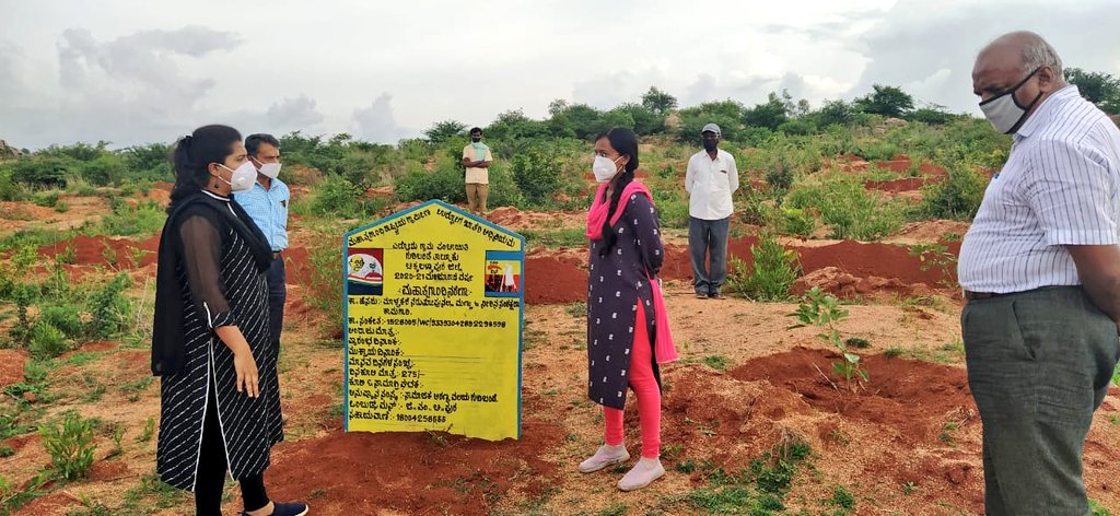 ChikkballapurZP's tweet photo. Visits to #afforestation and social moisture conservation #SMC works taken up by Social Forest department through #MGNREGA in #Chikkaballapur, #Bagepalli and #Gudibande taluks. Due to good spell of rains, encouraged them to take up many more works this year. #CreatingForests https://t.co/qNuU0BMTgR