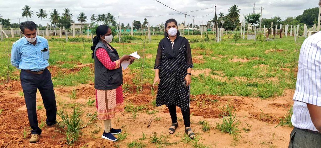 ChikkballapurZP's tweet photo. Visits to #afforestation and social moisture conservation #SMC works taken up by Social Forest department through #MGNREGA in #Chikkaballapur, #Bagepalli and #Gudibande taluks. Due to good spell of rains, encouraged them to take up many more works this year. #CreatingForests https://t.co/qNuU0BMTgR