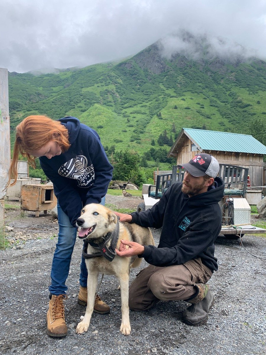 Alaskaoutside's tweet photo. As summer goes on so does the education we love teaching  about what we do!!! #Alaska #Girdwood #Iditaroddogs #Iditarob #education https://t.co/MHoyudmApN