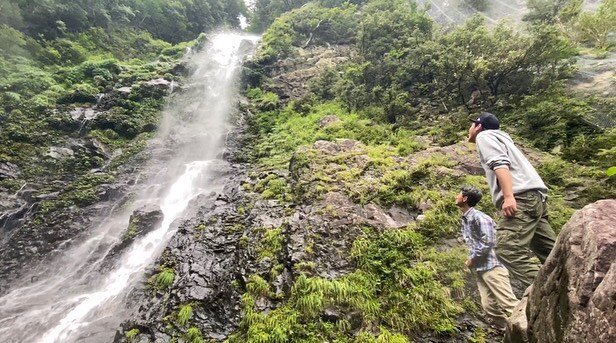 手づくり花づくりプラス 手づくり花づくりプラス