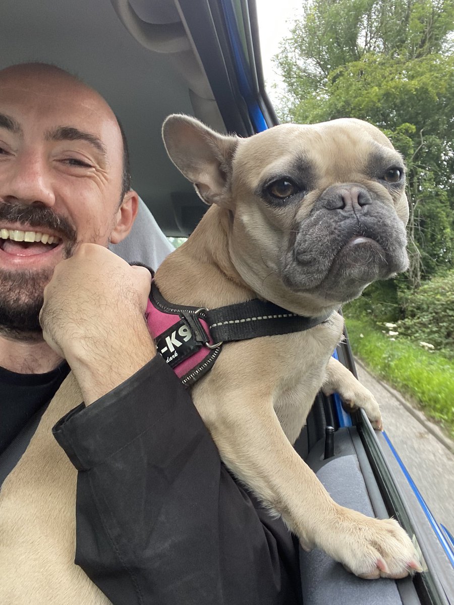 SarahNapper's tweet image. Leia loves the feel of the wind in her ears 😂😂