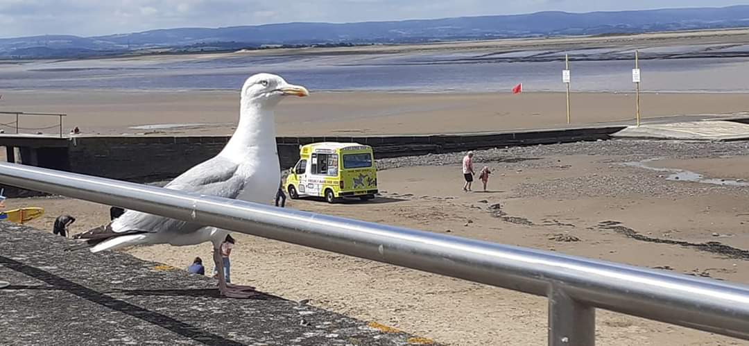ASPSedgemoor's tweet photo. So lovely to see people back visiting. Please remember to #sociallydistance #staysafe keep Covid away #COVID19 @burnham_on_sea @barbhovercraft @BurnhamRNLI #yourcommunity #PCSOSam https://t.co/BZLhyKJ3li