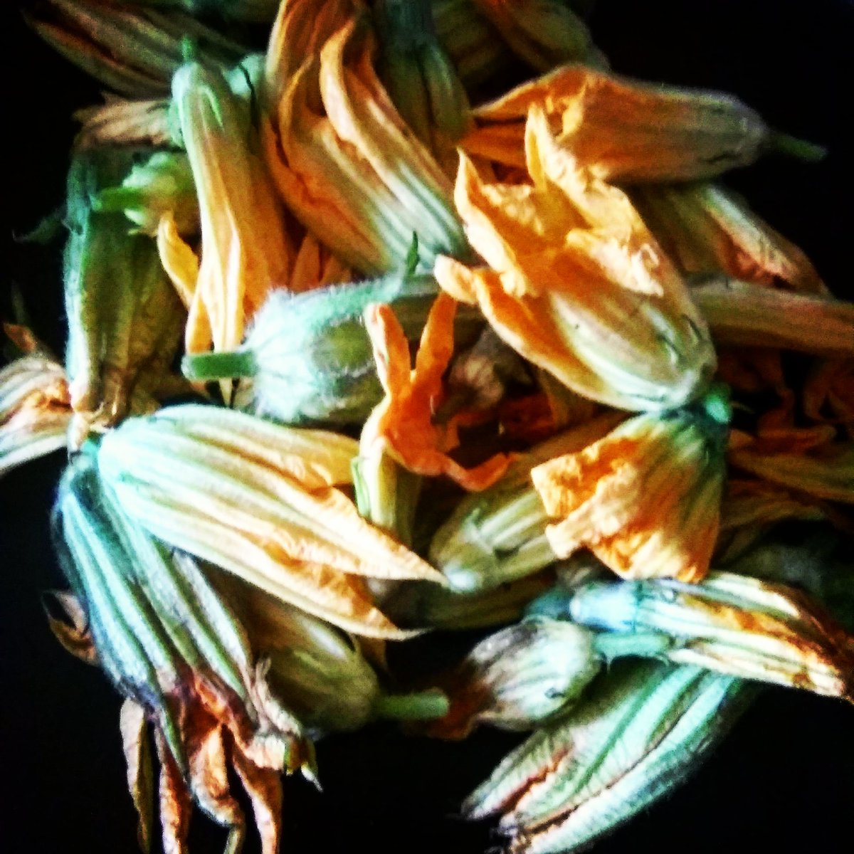 stuff_kc's tweet image. Part of yesterday's haul from the @DowntownOP Farmers Market. About to knock it off and make some dang quesadillas. 
#summercooking