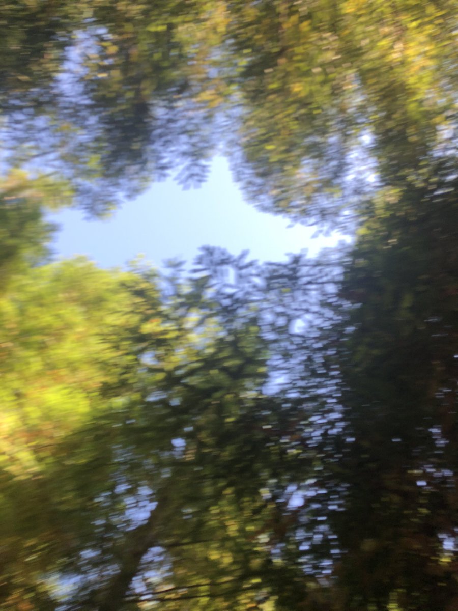 katumiturbe's tweet photo. Habría que analizar el ADN de estos fumadores en un parque natural “Bosque de sequollas” en Pontevedra y darles un escarmiento @guardiacivil #incendios https://t.co/yaH5FY90oa