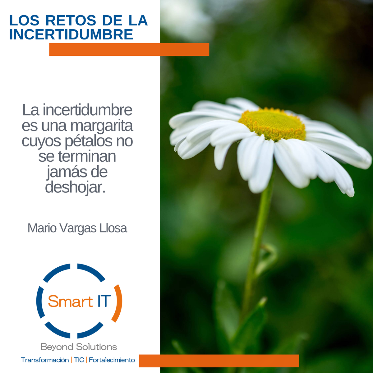 SmartITSol tweet picture