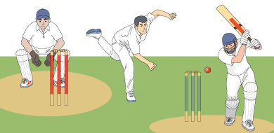 クリケットのtwitterイラスト検索結果