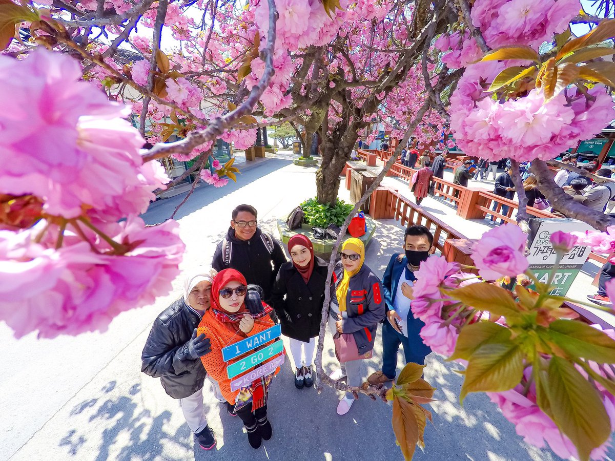 callmefye's tweet photo. Kalau nak jalan ke Korea blh join tour saya ya 😊 Follow IG IWant2Go2Korea kay guys. Blh bayar ansuran. Pakej ada personal photographer PERCUMA. 🥰 https://t.co/zbBkAqZZGJ