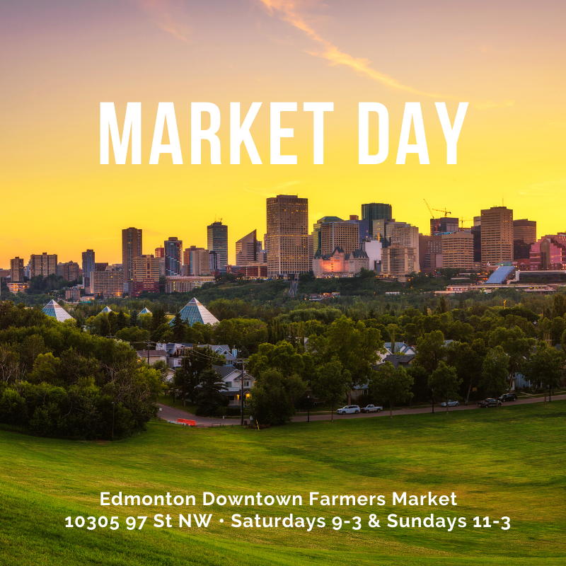 iheartedmonton's tweet photo. Have you checked out the "new" downtown farmers' market location yet? If you have, what are your thoughts about it? #yeg #yegdt https://t.co/1B0s7iHY10 https://t.co/KaVHw68QUQ
