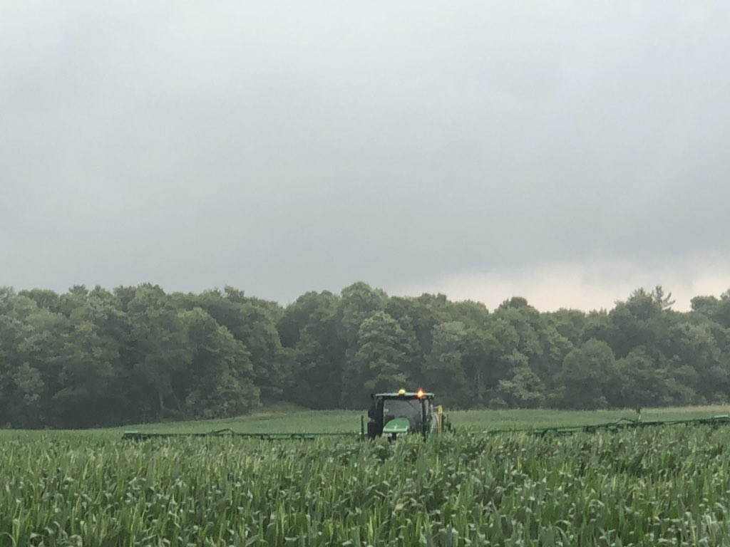 Good morning to top up N on a few farms that got 4 inches of rain last week. Tassels just starting on P0825AM <a href="/PioneerSeedsCA/">Pioneer Seeds Canada</a> <a href="/tillvalleyfarms/">Jeff Vermeersch</a>