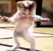 Ya ahora sí me pongo más atenta aquí, es qué es difícil. . .se me olvida que tengo twitter de un de repente y se me va, le doy, le doy.