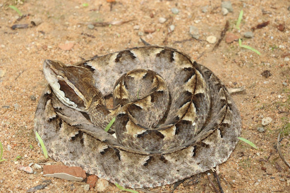 Ular imonni buzdilar Ular imonni buzdilar