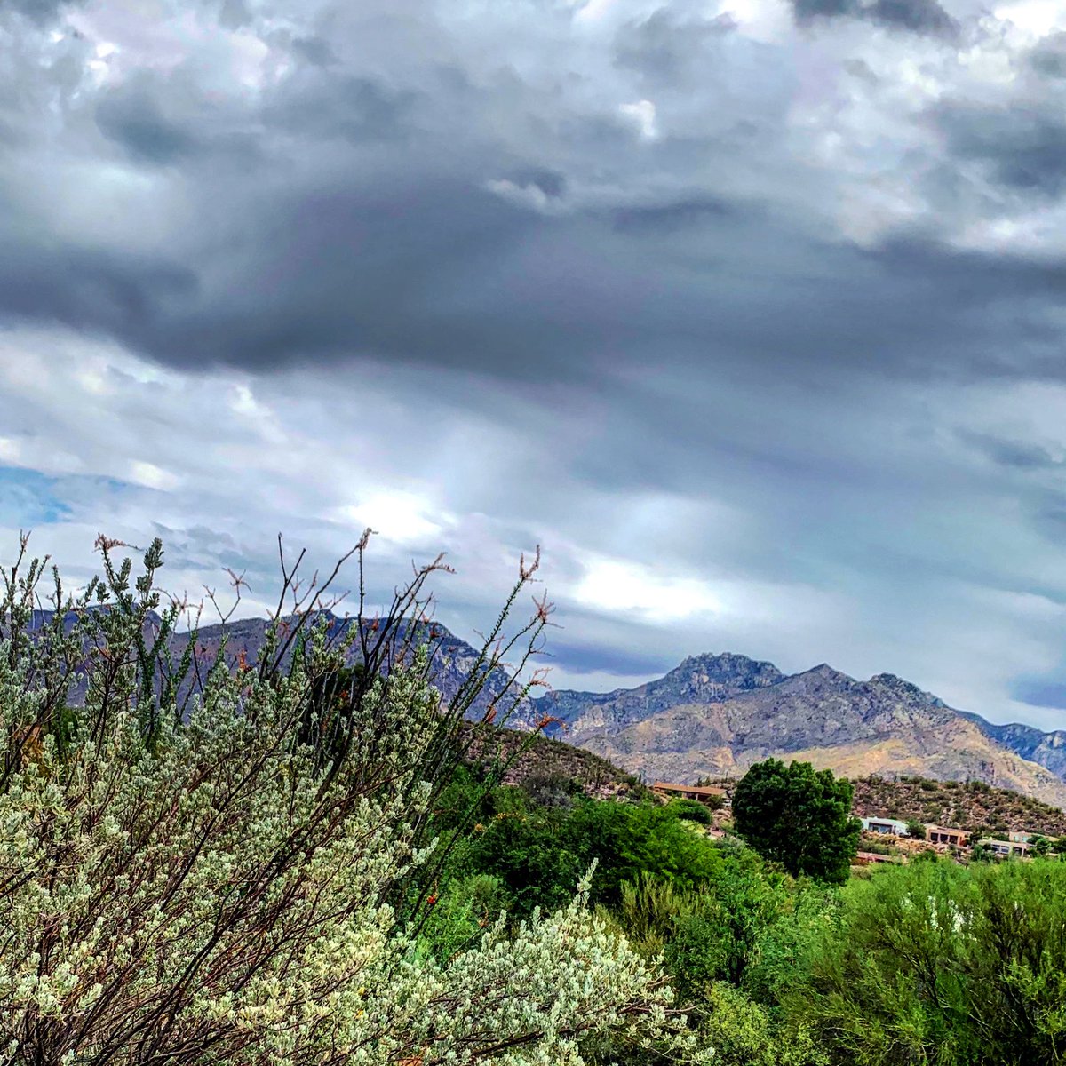 Happy Sunday, #Tucson! 102 and partly cloudy today. Chillin’ in the #foothills this morning taking it easy for a change. Admiring the monsoon-teasing clouds and the natural beauty of our #SantaCatalinas. Treasuring every moment. #keepsafe @VisitTucsonAZ #visittucson
