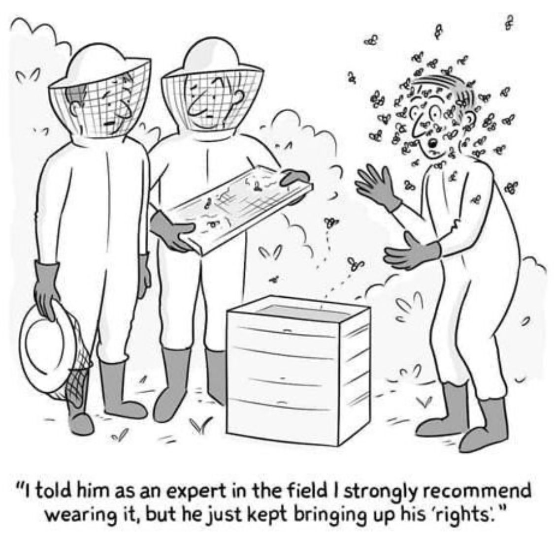 Val Vesa tweet media