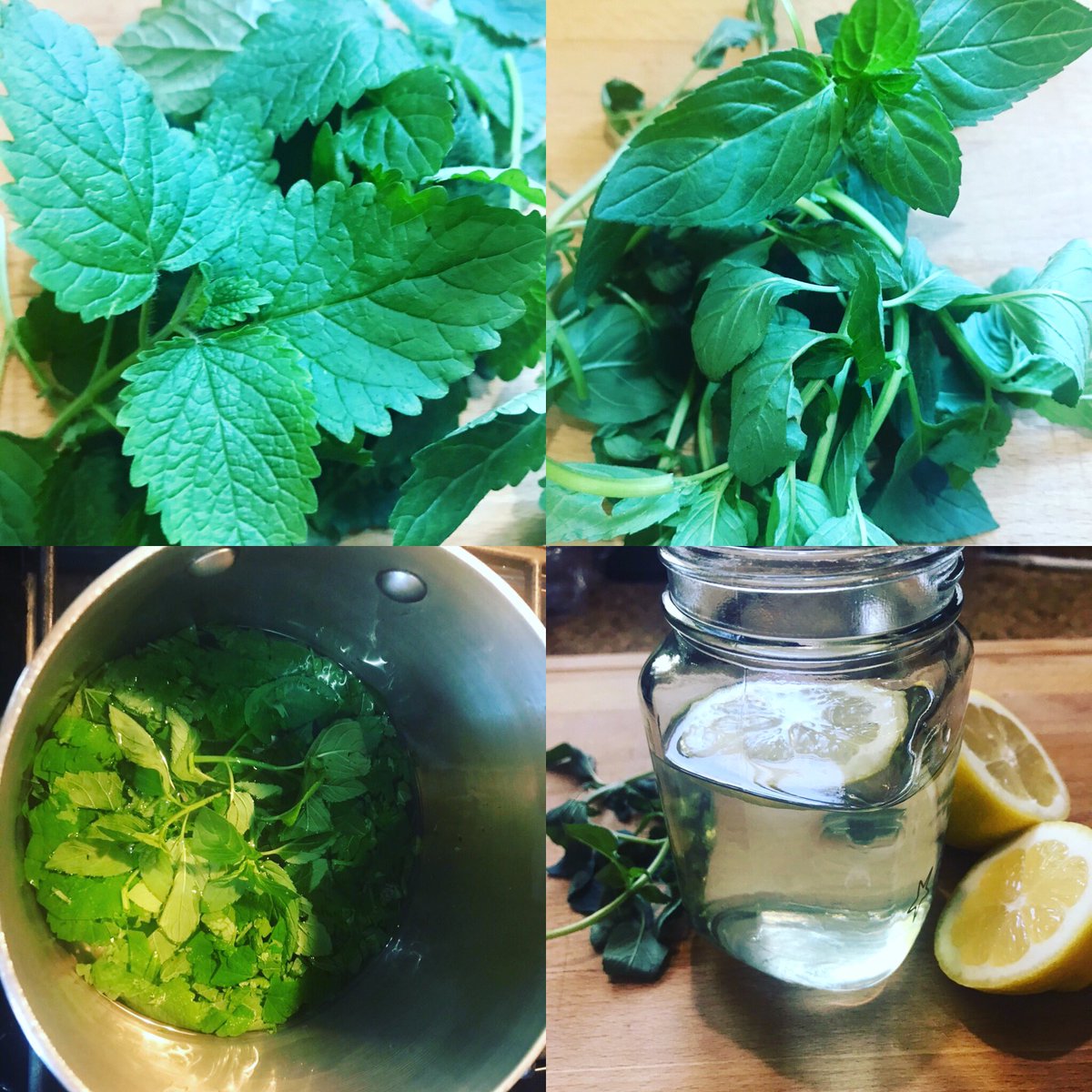 Jennifer Abitabilo tweet media