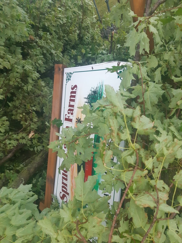 darrenmohle's tweet photo. Felt like a W Canada plow wind just roller through. Causalities include tree and farm sign, somehow the tree completely missed the Nat Gas hookup.  #ONStorm #ontag https://t.co/A03aswXek7