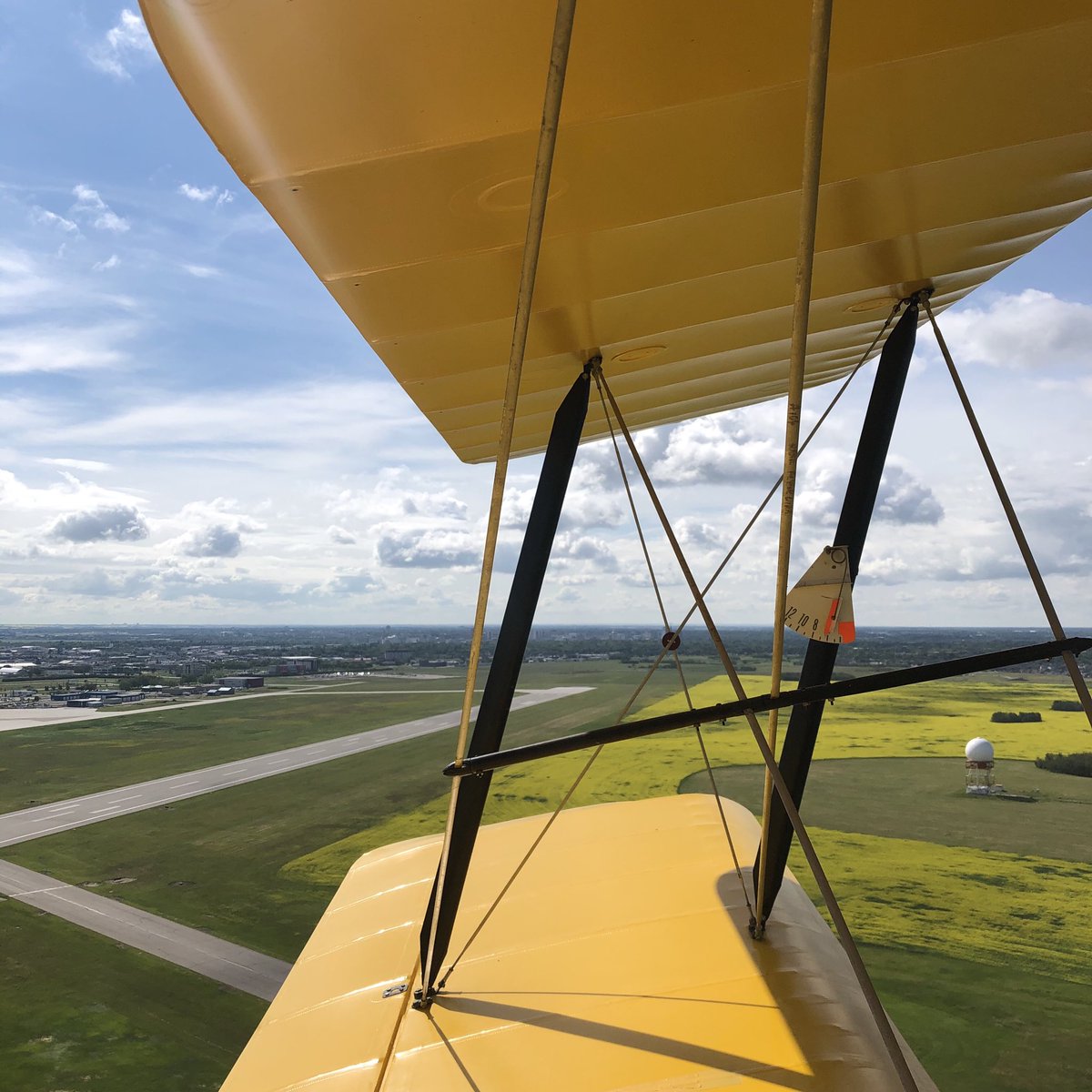 Alex MacPherson tweet media