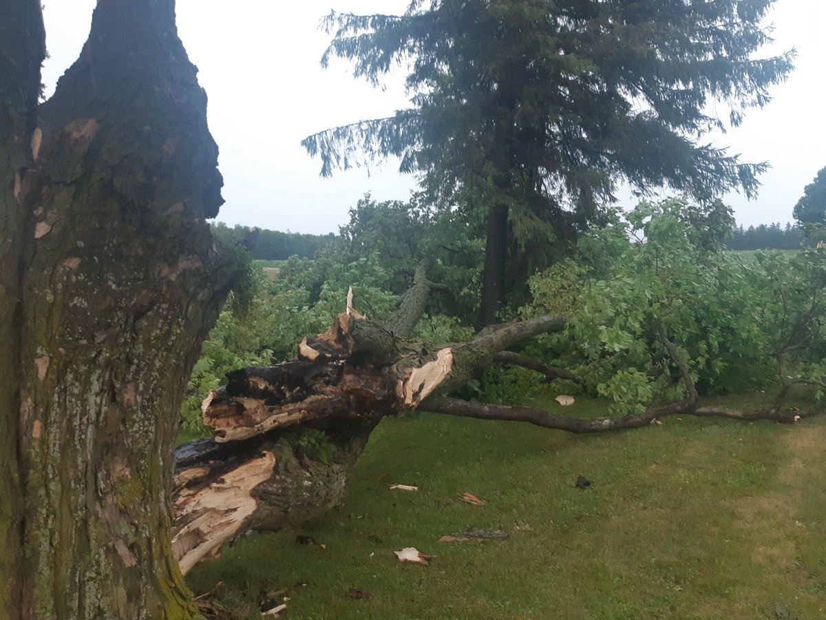 darrenmohle's tweet photo. Felt like a W Canada plow wind just roller through. Causalities include tree and farm sign, somehow the tree completely missed the Nat Gas hookup.  #ONStorm #ontag https://t.co/A03aswXek7