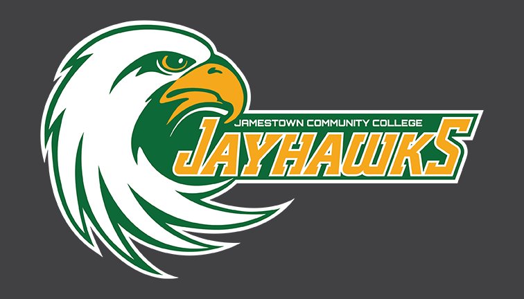 RVKLPHoops's tweet photo. Lincoln Trail College and Jamestown Community college have inquired about 5'2 Rising senior Macaria Hines.
#RVKLPhoops https://t.co/WMV4V4bLRH