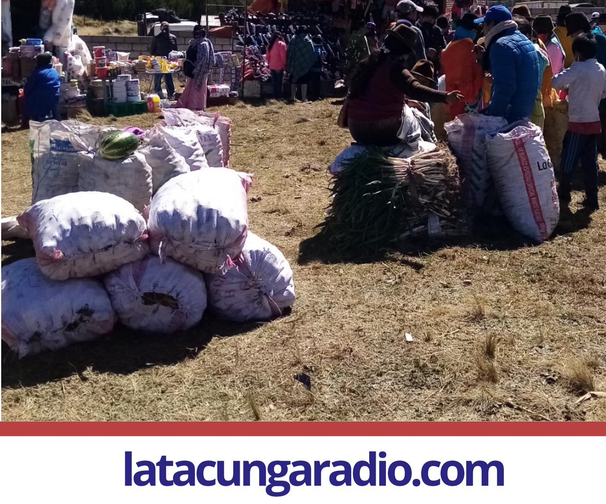 radiolatacunga's tweet photo. En Maca Grande en la parroquia #Poaló, el precio de las papas se mantiene, según Julio Toaquiza, quien se dedica a la producción y comercialización de este producto, cuenta, que las ventas son mayores en las ciudades. https://t.co/MKVE2CoE6z