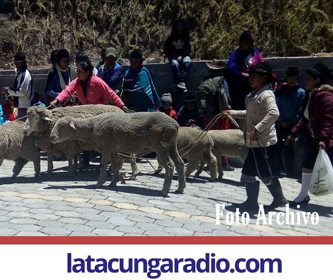 radiolatacunga's tweet photo. En análisis esta la reapertura de la plaza de animales en #Latacunga. David Tamayo, encargado de Servicio Públicos, informó que se ha presentado, el protocolo de #bioseguridad y adecuaciones. 
Al momento se encuentran a la espera de la aprobación de @AgrocalidadEC. https://t.co/T2kHtTgncb