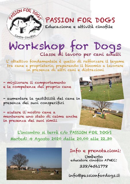 Passion_ForDogs's tweet photo. ⭐️ Ultima classe di lavoro per cani adulti 🐶 
 prima della pausa estiva 🏖 vi aspettiamo il 4 Agosto dalle 20, prenotazione obbligatoria al 📞 3384561778 #bologna https://t.co/ve69kSArWK