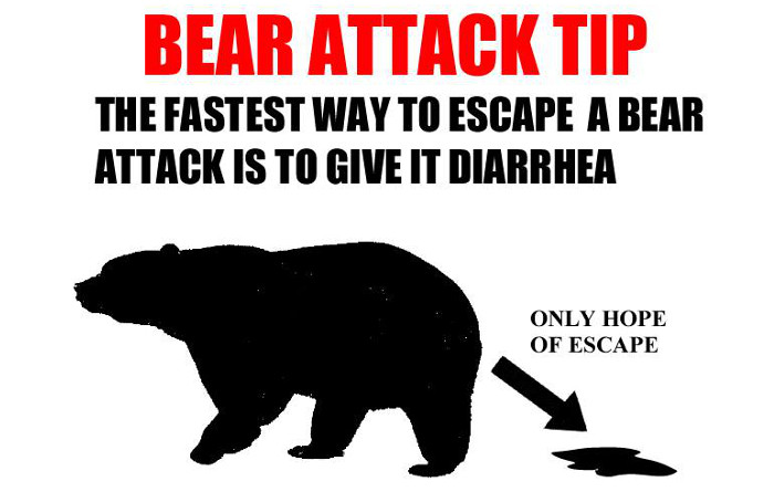 MichaelDavisPIO's tweet photo. #FireGroundUpdate: It is Wildland Fire Season in the USA once again. So, I thought it might be helpful to share my Bear Encounter Tips for Wildland Firefighters. https://t.co/t9pzDxNL1r