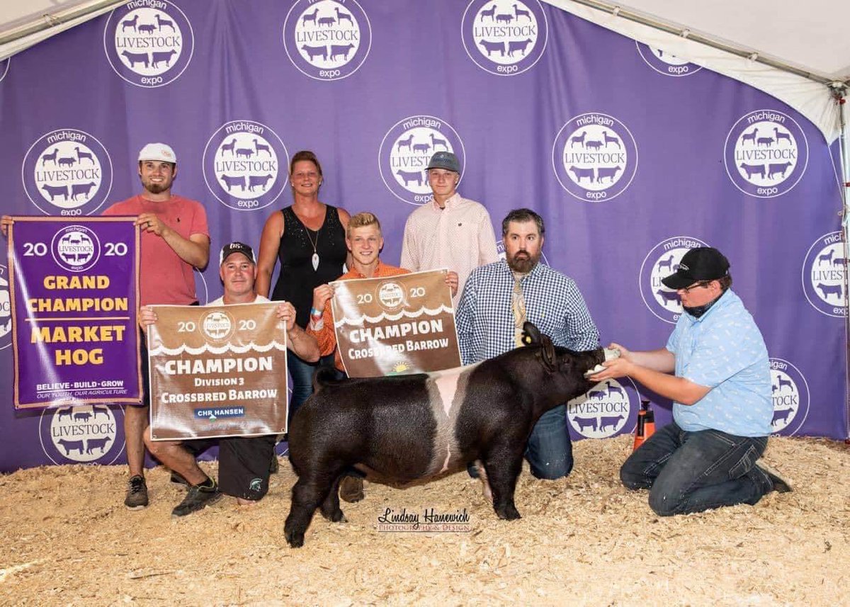 WinMorFarms's tweet photo. Grand Champion Market Hog
2020 Michigan Livestock Expo
Shown by Wyatt Mazich
Sire: Trade Secret (@sgiboars)
********************************
Congrats Mazich Family! This family took a chance on a big legged, skinny baby pig that sold online! #WinMor https://t.co/JzXmqv5jGp
