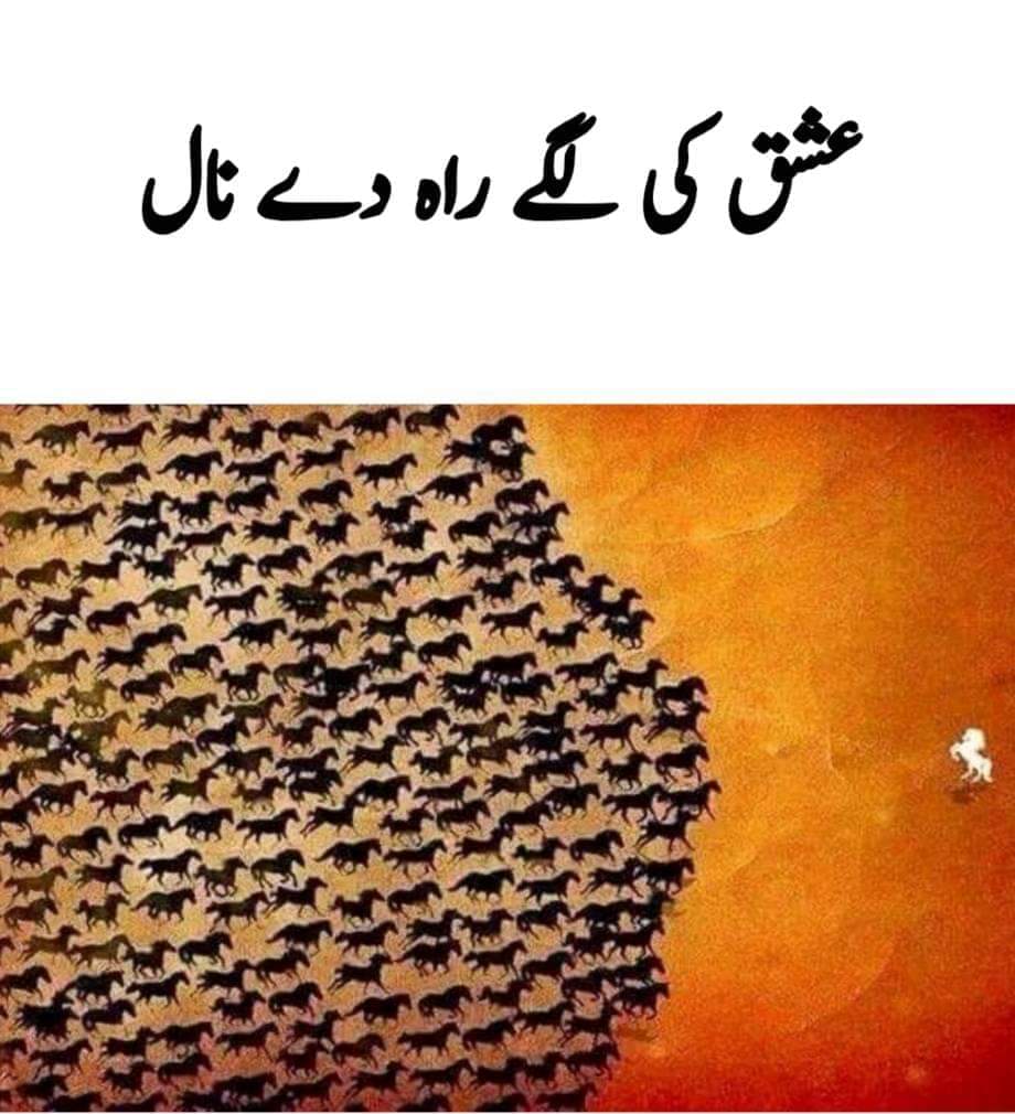 بے خطر کود پڑا آتشِ نمرود میں عشق
عقل ہے محو تماشائے لبِ بام ابھی
#مارخورز_پروموشن
<a href="/sm2pk/">Saeed Malik</a>
<a href="/A5Malik/">ملک جمیل الرحمن</a>
<a href="/JLone72/">JAVED LONE</a>
<a href="/Shzad0/">ʍʊɦǟʍʍǟɖ 🇸 🇭 🇦 🇭 🇿 🇦 🇩</a>
<a href="/786ifb/">🔴 یا اللہ رحم فرما 🔴</a>
<a href="/tarar_2/">تارڑ</a>
@GHakem1
<a href="/Ghzl_3/">غـــزالــہ ...💕</a>
<a href="/n_495/">سحبان حسین</a>
@F_T_134
@WadanA_01
<a href="/a1imt/">Benjamin levi</a>
<a href="/IMRHQ/">Imran Qureshi (Mana UK) 🇬🇧 🇵🇰</a>
<a href="/jbrlala/">jabbar lala جبار لالا🇵🇰</a>
<a href="/laila19B/">Laila Batool🦋</a>
<a href="/ChuzZii1/">N O O R I🐥🔥</a>
<a href="/MI_RYK/">⫷𒈞❂༼‏محـͥـͩـͣـͫــͫمͣـͪـͧـⷨــــدی༽❂𒈞⫸</a>
@7dw90
<a href="/YasirM313/">یاسر مہمند↖flow back 💯</a>
@hqim_1
<a href="/PKT86S/">Pakistan's Tiger</a>
<a href="/1989ib/">ابراهيم غالب</a>
<a href="/bilalmk18/">Malik Bilal 🇵🇰</a>