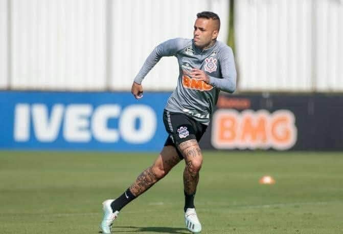 Marcella Sccp tweet media