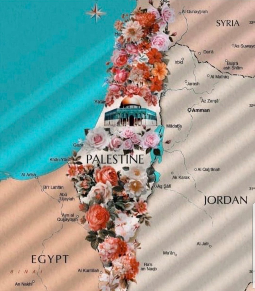 ElouedTime's tweet photo. على هذه الأرض.... وطن 🇵🇸 يسمى فلسطين 🇵🇸 💚☘️🌴🌿 https://t.co/evATiYGeS1