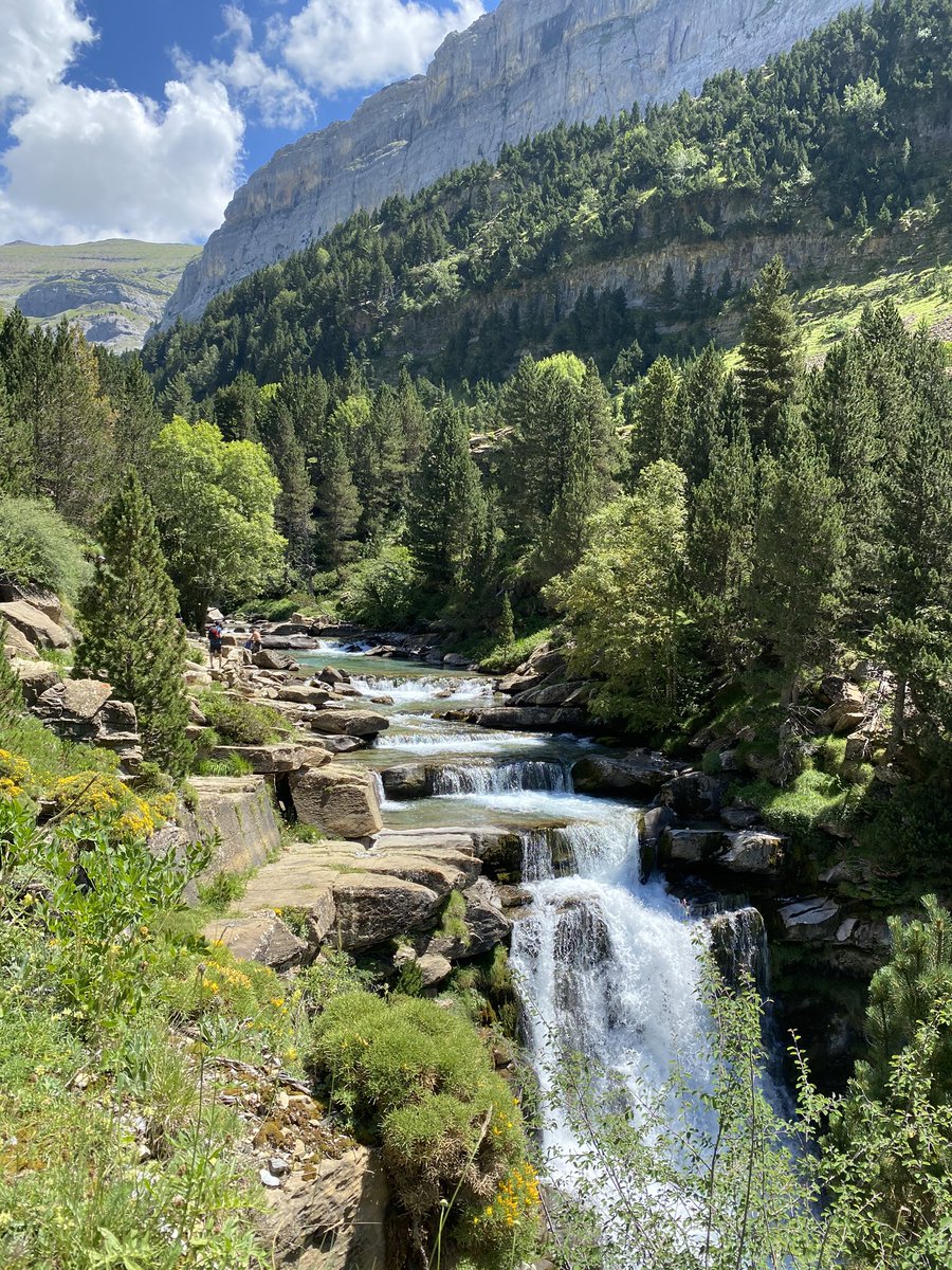 RozalenMusic's tweet photo. Perdidita... 🌲🌿🏔 
#PirineoAragonés #OrdesaYMontePerdido #RutaDeLosCazadores #ColaDeCaballo https://t.co/QA4TSXZcDT