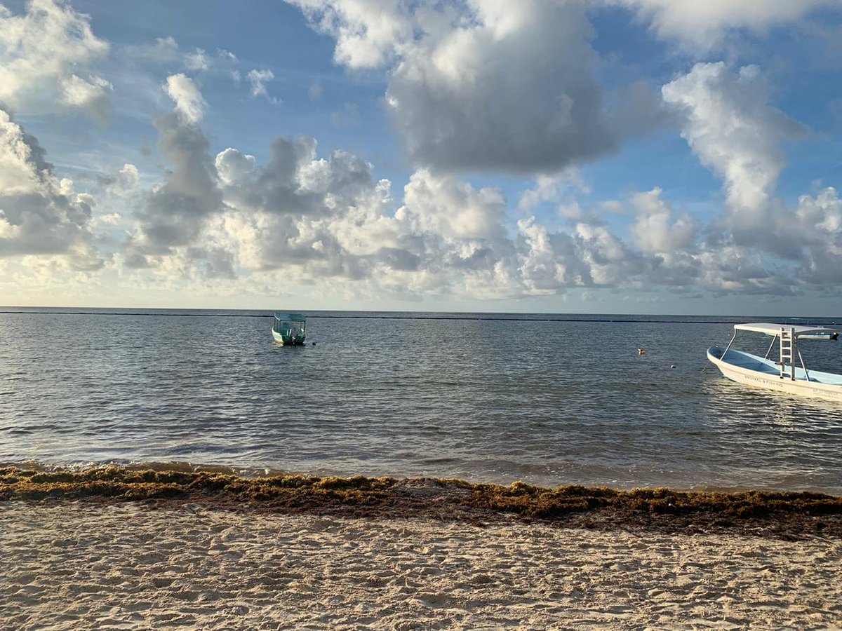 SacbeEcotours's tweet photo. Que rico amanecer en #PuertoMorelos https://t.co/2vq7EgBDPh