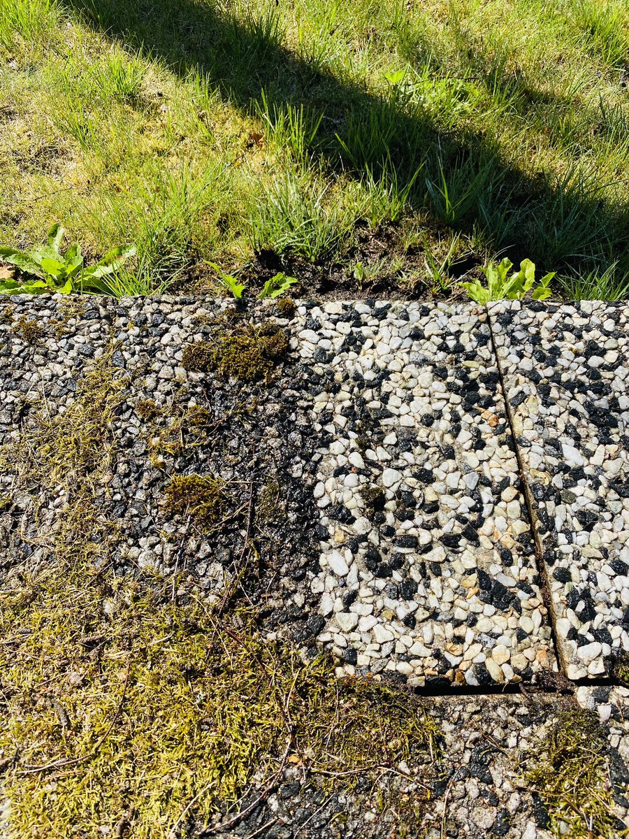 FTMKeienburg's tweet photo. Before/after. I love our @Kaercher_PR.

#mökkilife #powerwasher https://t.co/SP0a8cGXbp