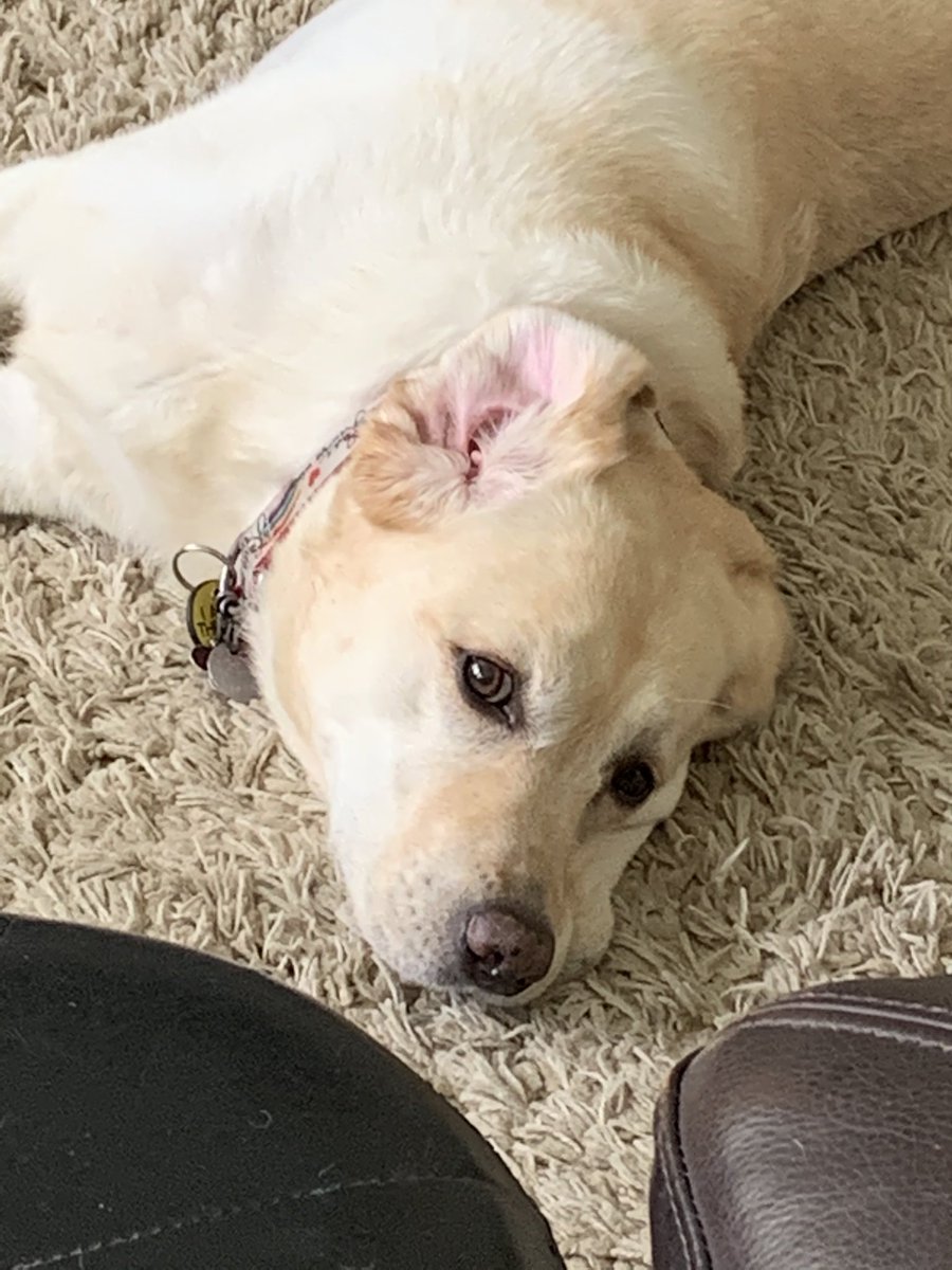 That Sunday feeling.