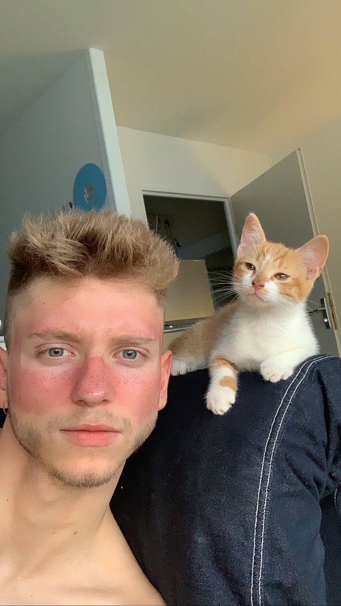 Mercure 🦊 tweet media