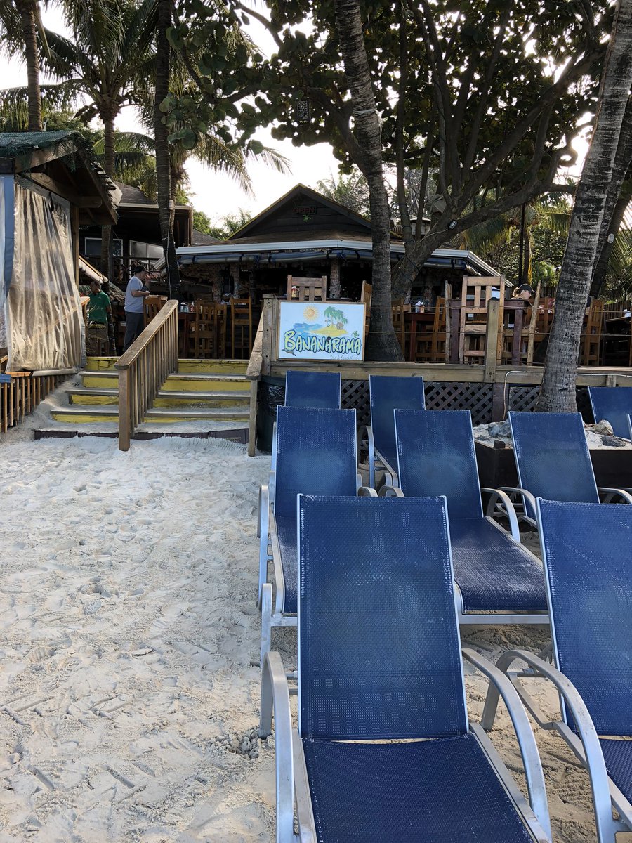 thiscruiselife's tweet photo. My favorite spot in #Roatan Honduras to spend a day: #Bananarama Dive & Beach Resort, home to the #ThirstyTurtle grill & bar.
They have an awesome #cruise ship package: $40 roundrip transport, welcome drink, beach chair, facilities use and snorkel gear!
https://t.co/vtnRQYLT1M https://t.co/xkW3DkkQ9j