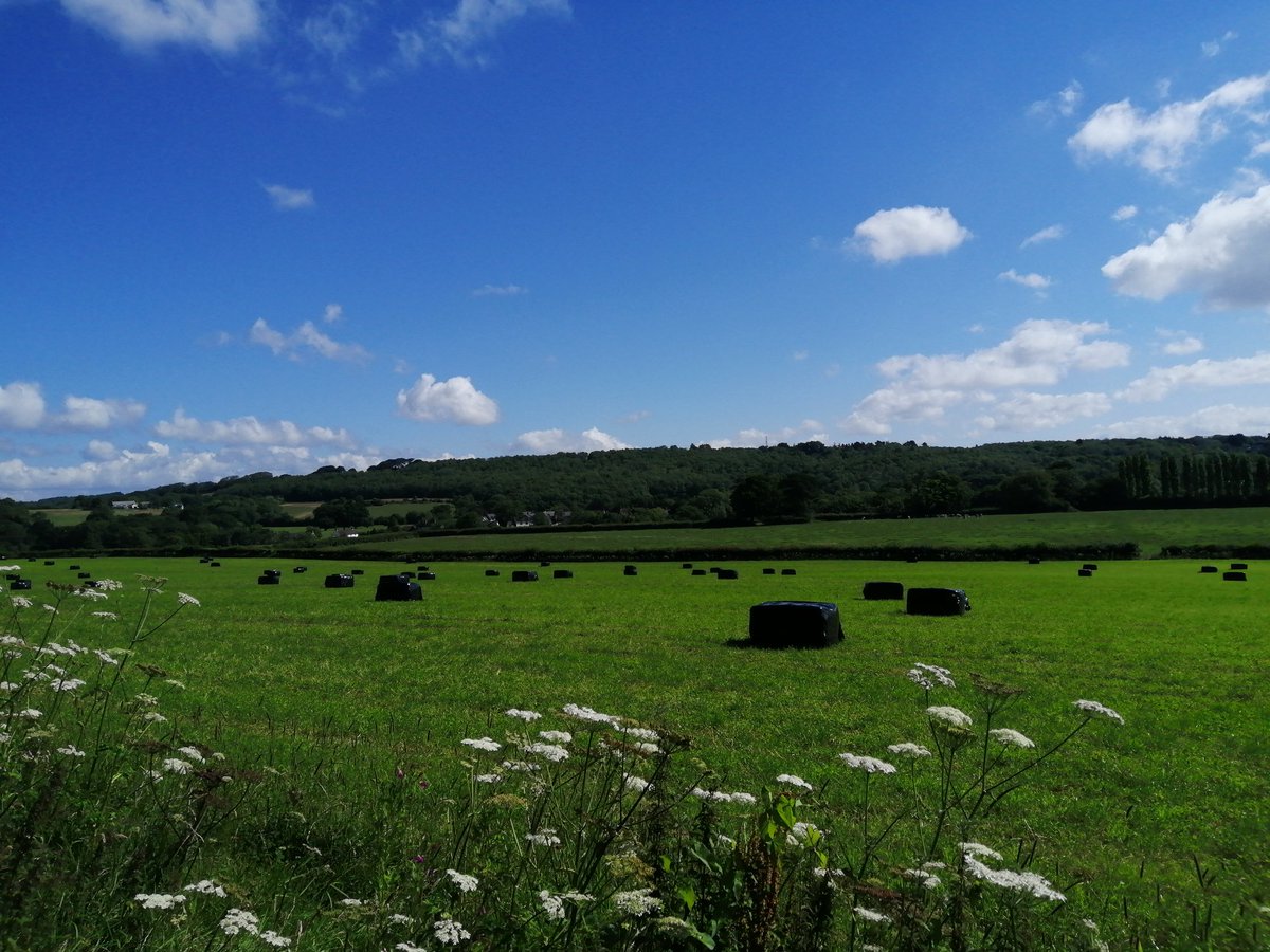 Lovely morning walk in salmon leaps in Dina's Powys