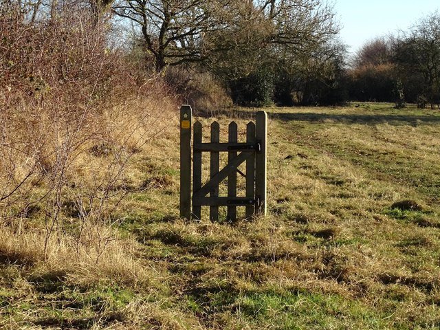 football_mumble's tweet photo. What’s of more use?

Like for David de Gea
Retweet for this gate https://t.co/6zKdkuOvVz