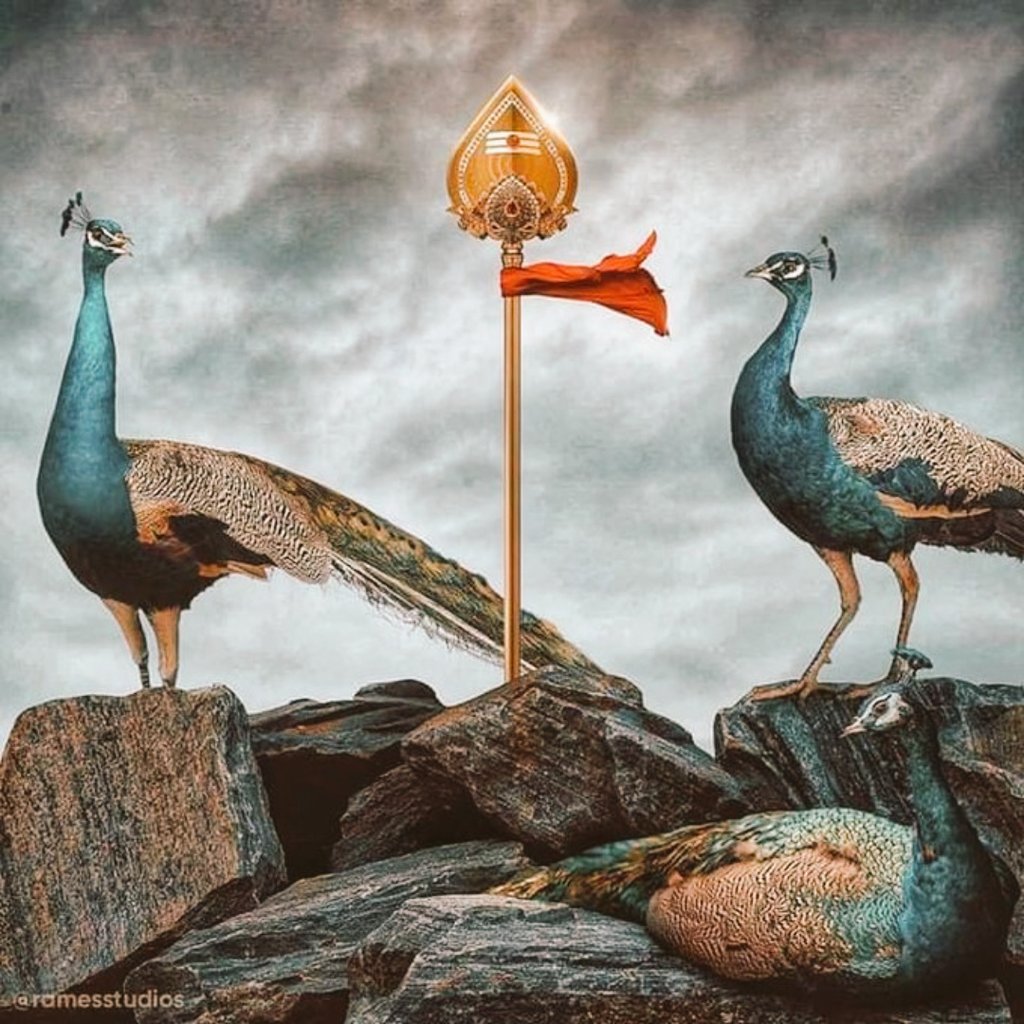 RamkumarRavi5's tweet photo. #வெற்றிவேல்_வீரவேல் 🕉
#വെട്രിവേൽ_വീരവേൽ 🕉

തമിഴ് ജനതക്ക് ഐക്യദാർഢ്യം.

Support from Kerala https://t.co/eEDbGBvCc4