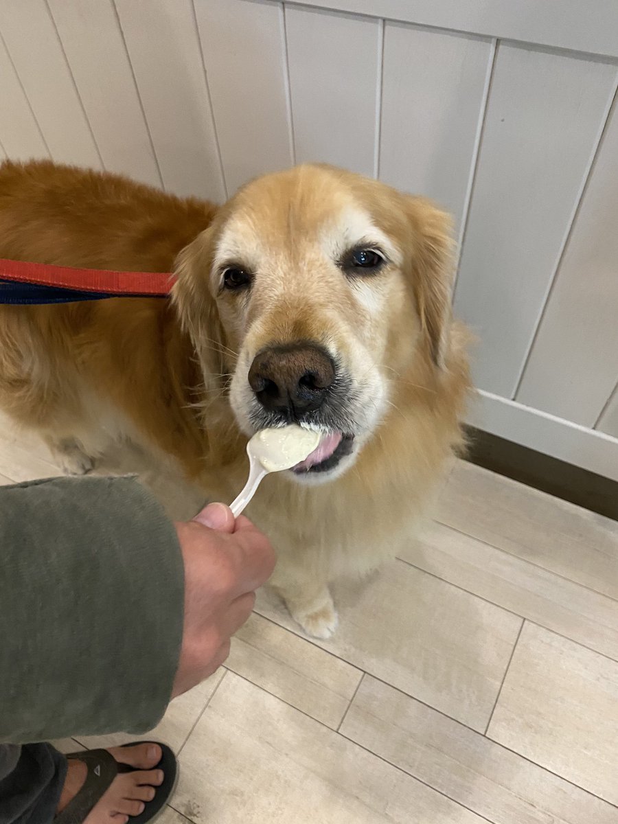 Thinks Wife tweet media