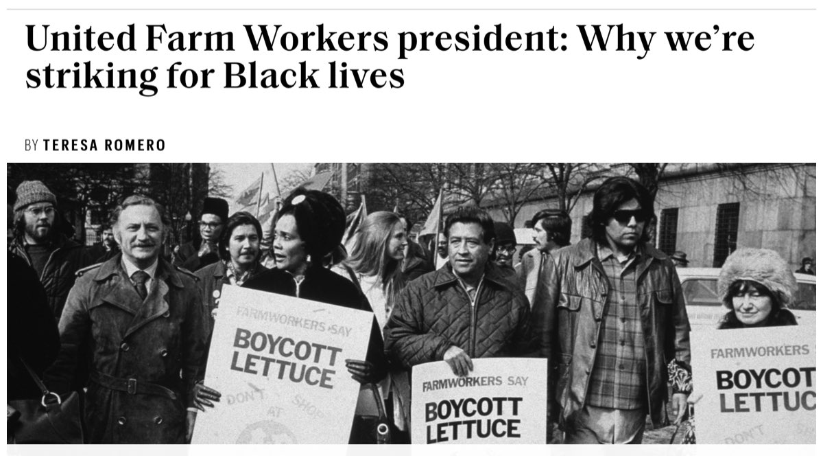 Many people have asked why farm workers are joining with the  @Mvmnt4BlkLives and other worker and racial justice allies tomorrow. My thoughts on this are complex yet so simple: As a movement, we’ve learned that righteous protest relies on genuine solidarity.