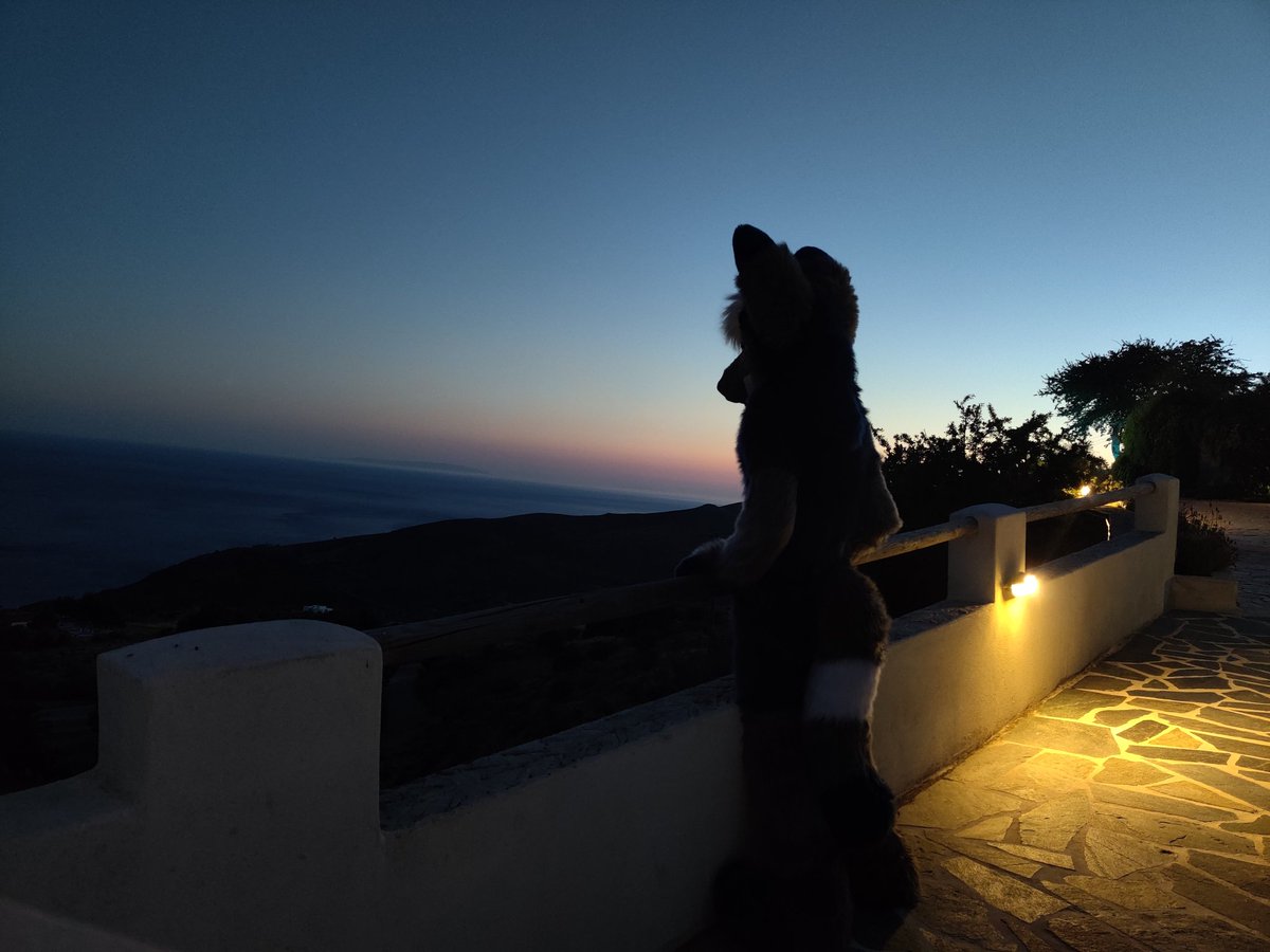 VioSkunk's tweet photo. Come look into the sunset with me!~
#onepiceveryday https://t.co/TAsoL5eDtk