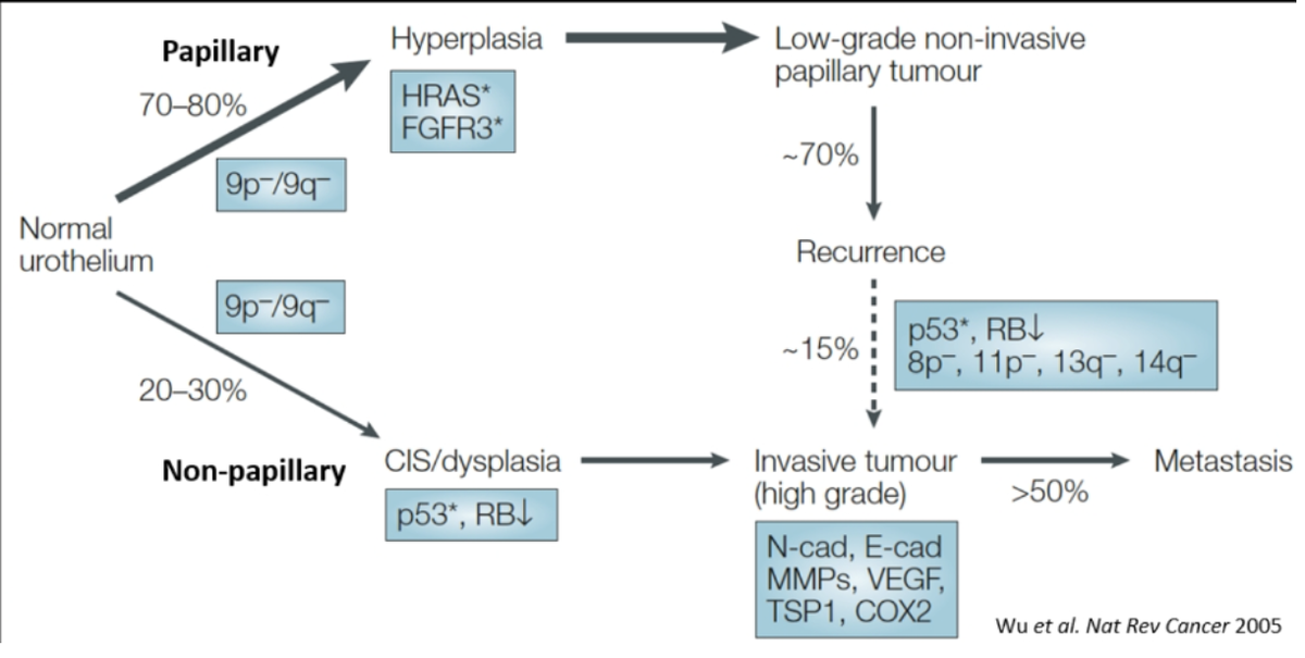 UroToday.com tweet media