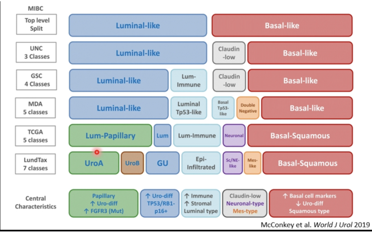 UroToday.com tweet media