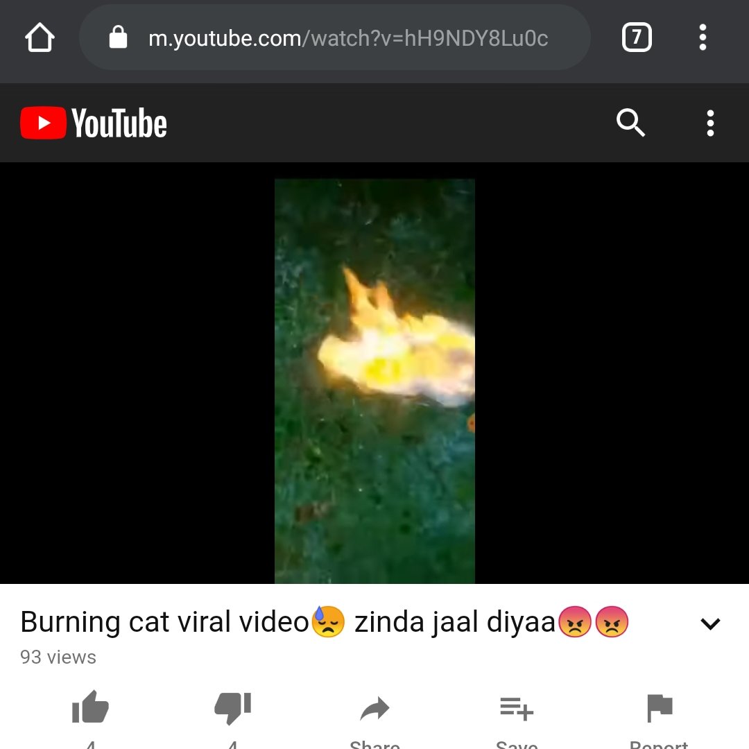 yameenansari's tweet photo. Ensaniyat ab bilkul ni bachhi yeh video dekh k laga be zuban janwar k sath aysa haal ki rooh kaap jayegi please kuch action legiye @Uppolice @DGPMaharashtra @MahaCyber1 @dgpup @aajtak @RealKingbhau @AmitShah @narendramodi
#justiceforcat #arrestmurderer
https://t.co/BDhBWDL3ak https://t.co/omddL3yYiO