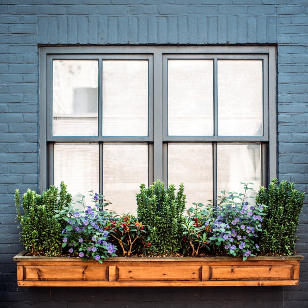 seandoylewindow's tweet photo. Looking to the Future with Modern Aluminium... A stylish black frame Aluminium window creates a sleek contemporary profile for your home. Log onto https://t.co/RQHybmJYzJ #windowsanddoors #aluminiumwindows #windowsforhome #irishhomes https://t.co/O4Cv7YINti