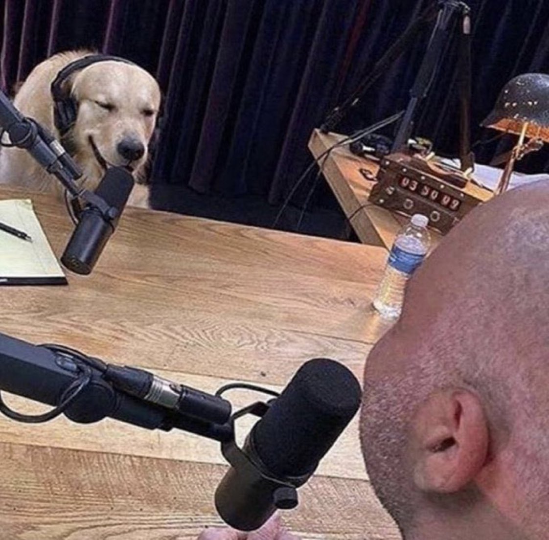 WorIdStarComedy's tweet photo. “so anyway I ate that mf homework” https://t.co/SG1KlatfiI