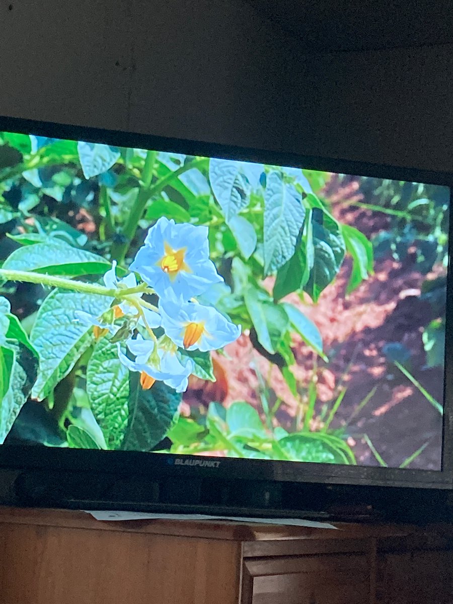 FanfieldFarm's tweet photo. Delighted and honoured to have been on @BBCOne this evening on @BBCCountryfile 

A short part in the section on solutions for our breaking food systems in the UK.

Great to also get a shout out to the @ecolandcoop as we wouldn’t be here without the great work they do. https://t.co/KrUVA0zgAk