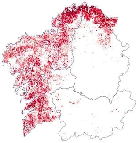 Mapa do eucaliptal galego. Se moras nalguma dessas comarcas chama para adoptar um koala 🐨🐨🐨🐨