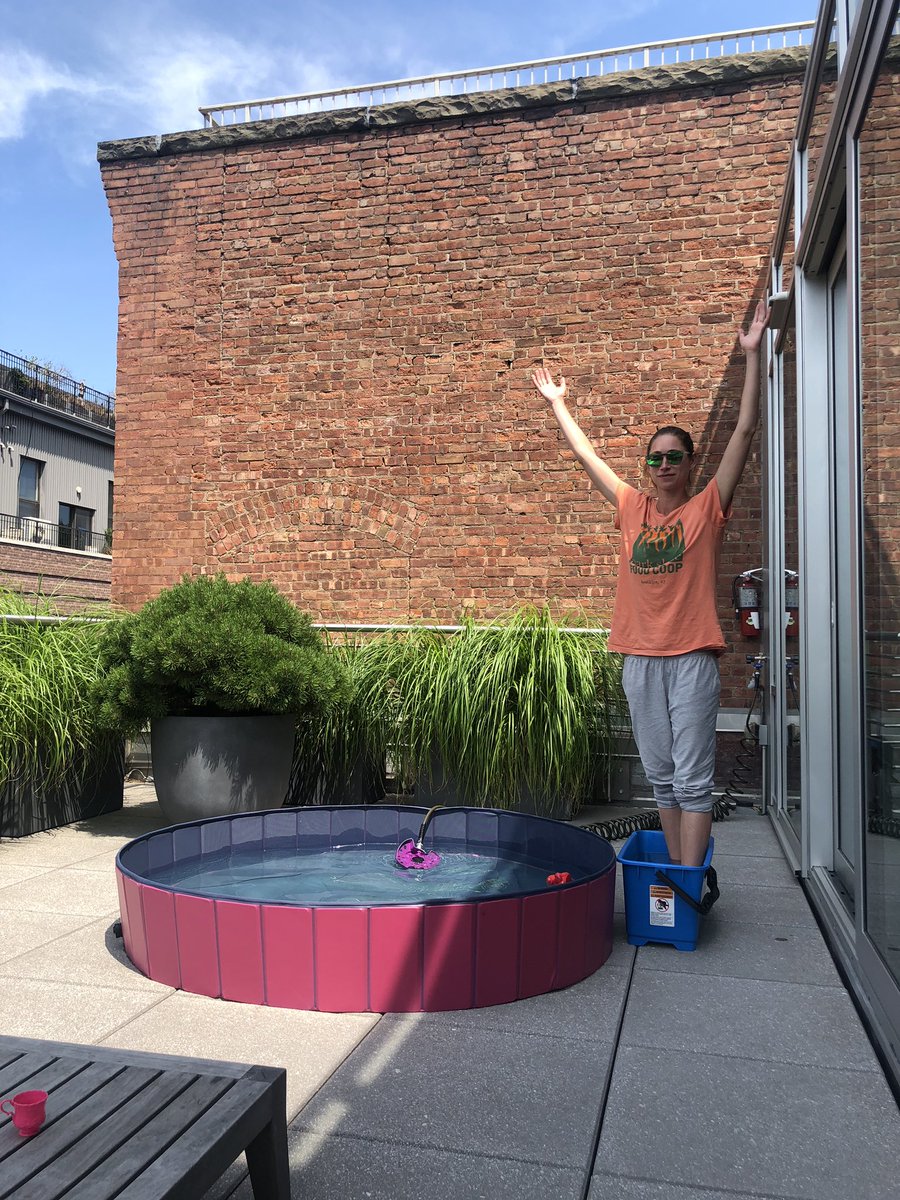 pool sun shade on Tara Stiles On Twitter Diy Spa Cold Plunge Place Bucket In Shade Heated Pool Place Dog Pool For Humans In Sun Relax Enjoy